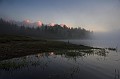 CRW_4974_01