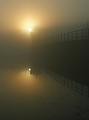 IMG_3047_2_nn