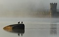 IMG_7622