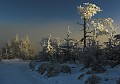 IMG_1229-01