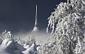 IMG_2437-02