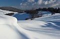 IMG_3309-1