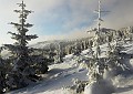 IMG_4104-02