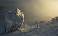IMG_6347