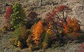IMG_6517