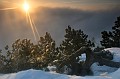 IMG_6666_4_5