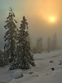 IMG_7735_3_4