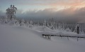 IMG_0311-02