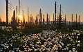 IMG_4459_7_8