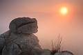 IMG_7057_5