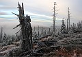 IMG_7835