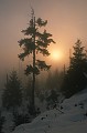 IMG_8097