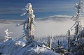 IMG_9044