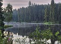 nova_l_47_1_s