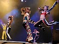 IMG_9824_fil