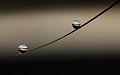 IMG_7463
