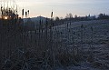 IMG_0709-02