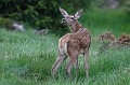 IMG_9866_u